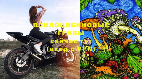 каннабис Алзамай