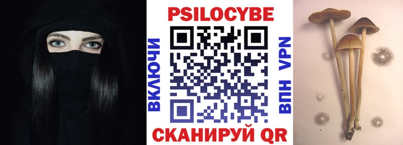 Псилоцибиновые грибы прущие грибы  Талица 