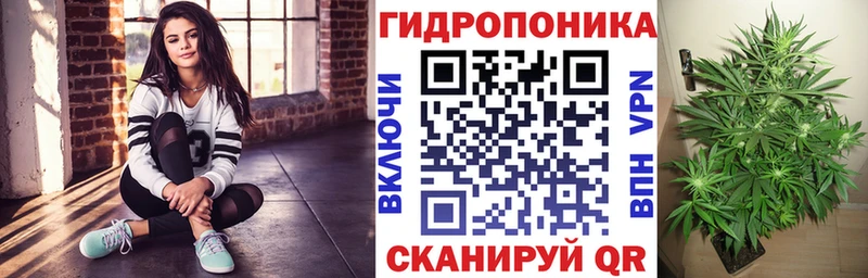 МЕГА ONION  Талица  Бошки Шишки Ganja 